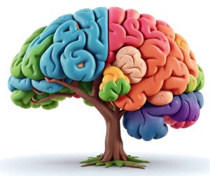boost brain health